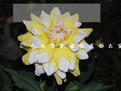 花呗逾期催收威胁去宣扬 花呗逾期催收威胁去宣扬