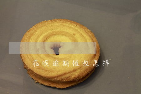 花呗逾期催收怎样 花呗逾期催收怎样