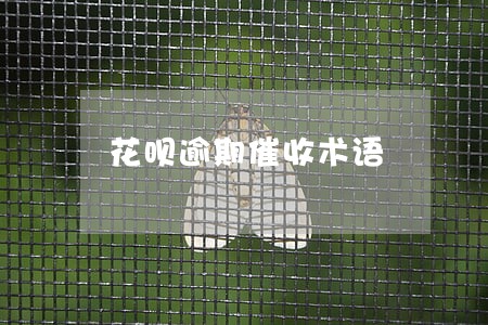 花呗逾期催收术语 花呗逾期催收术语