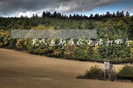 花呗逾期催收电话打哪个 花呗逾期催收电话打哪个