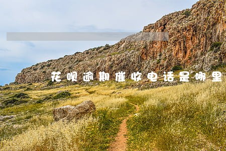 花呗逾期催收电话是哪里打来的 花呗逾期催收电话是哪里打来的