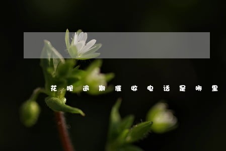 花呗逾期催收电话是哪里的 花呗逾期催收电话是哪里的