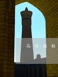 花呗逾期催收电话每天都会打嘛 花呗逾期催收电话每天都会打嘛