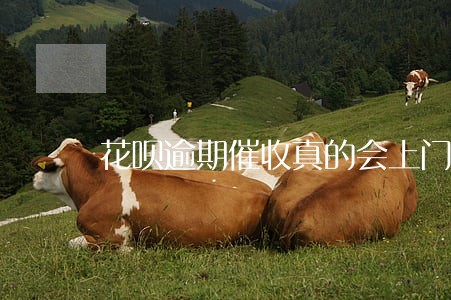 花呗逾期催收真的会上门吗 花呗逾期催收真的会上门吗
