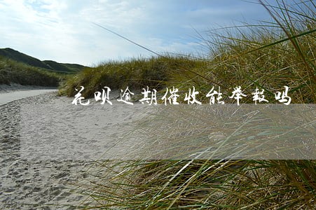 花呗逾期催收能举报吗