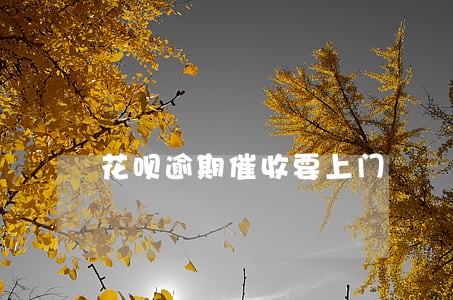 花呗逾期催收要上门 花呗逾期催收要上门
