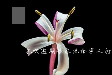 花呗逾期催收说给家人打电话 花呗逾期催收说给家人打电话