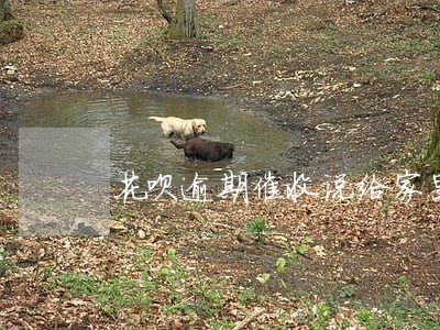 花呗逾期催收说给家里打电话 花呗逾期催收说给家里打电话