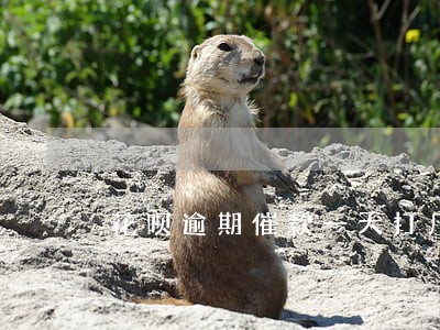 花呗逾期催款一天打几个电话