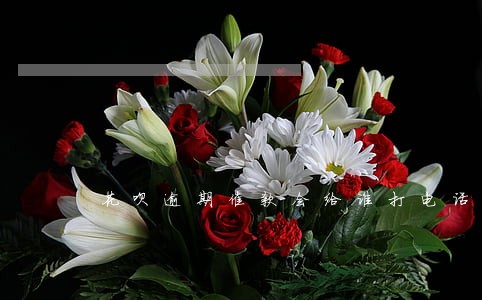 花呗逾期催款会给谁打电话