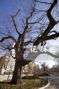 花呗逾期催款后果很严重吗 花呗逾期催款后果很严重吗