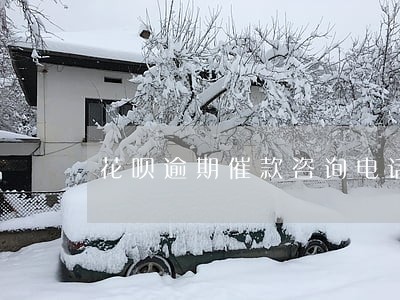 花呗逾期催款咨询电话号码是多少 花呗逾期催款咨询电话号码是多少