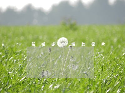 花呗逾期催款图片 花呗逾期催款图片