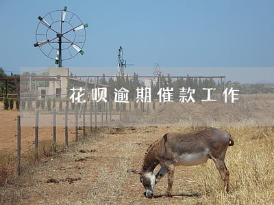 花呗逾期催款工作