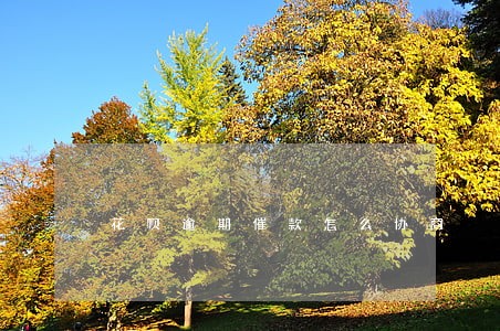 花呗逾期催款怎么协商