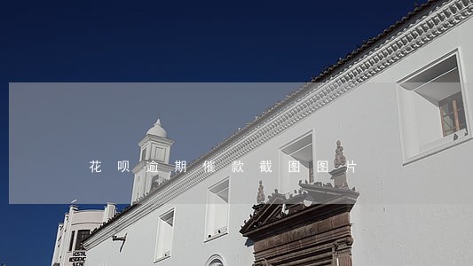 花呗逾期催款截图图片