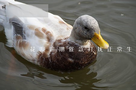 花呗逾期催款打扰正常生活犯法吗 花呗逾期催款打扰正常生活犯法吗