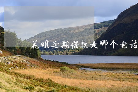 花呗逾期催款是哪个电话 花呗逾期催款是哪个电话