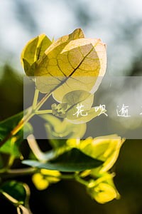 花呗逾期催款电话给挂了 花呗逾期催款电话给挂了