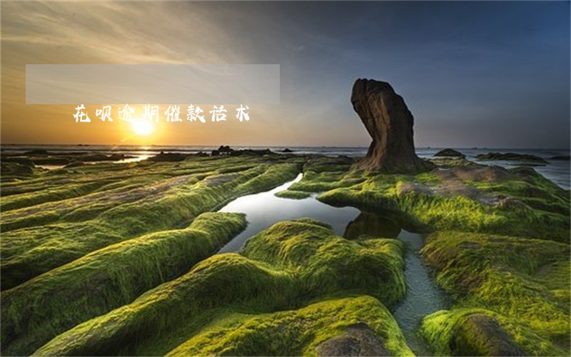 花呗逾期催款话术 花呗逾期催款话术