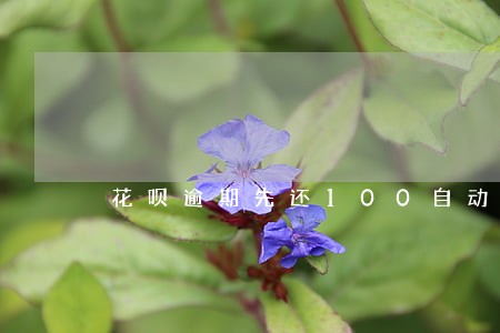 花呗逾期先还100自动扣 花呗逾期先还100自动扣