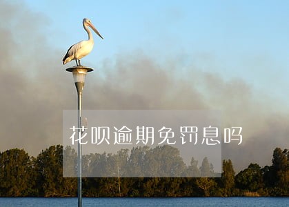 花呗逾期免罚息吗