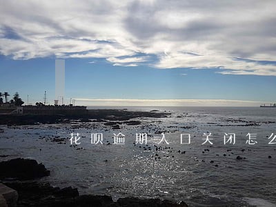 花呗逾期入口关闭怎么还款