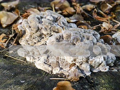 花呗逾期入黑名单 花呗逾期入黑名单