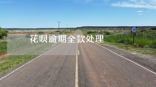 花呗逾期全款处理