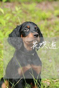 花呗逾期全款还完后可以使用花呗 花呗逾期全款还完后可以使用花呗