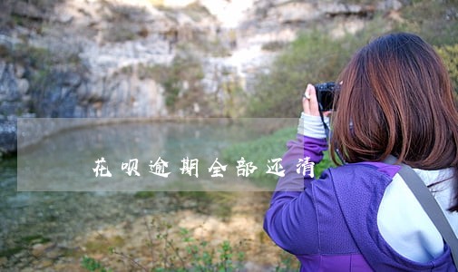 花呗逾期全部还清 花呗逾期全部还清