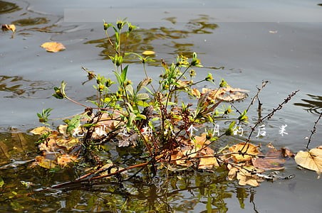 花呗逾期八个月的后果 花呗逾期八个月的后果