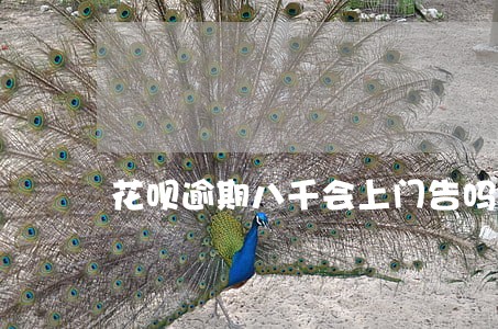 花呗逾期八千会上门告吗 花呗逾期八千会上门告吗