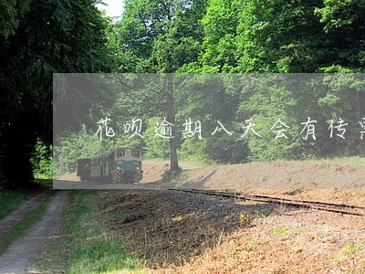 花呗逾期八天会有传票吗 花呗逾期八天会有传票吗