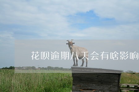 花呗逾期八天会有啥影响 花呗逾期八天会有啥影响