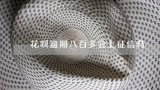 花呗逾期八百多会上征信吗 花呗逾期八百多会上征信吗