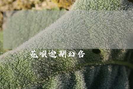 花呗逾期公告 花呗逾期公告