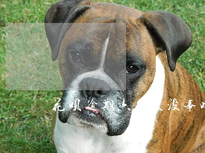 花呗逾期六七天没事吧 花呗逾期六七天没事吧