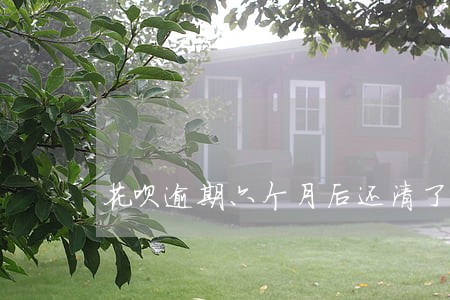 花呗逾期六个月后还清了会关闭吗 花呗逾期六个月后还清了会关闭吗