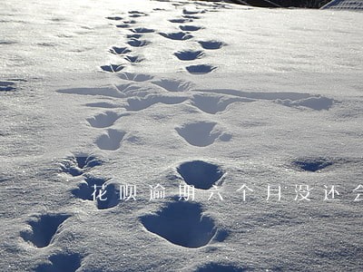 花呗逾期六个月没还会上征信吗 花呗逾期六个月没还会上征信吗