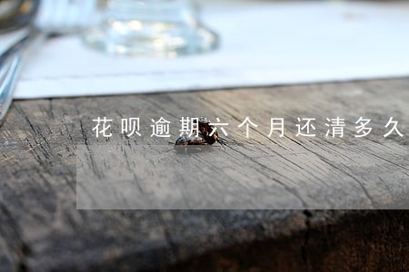 花呗逾期六个月还清多久能用 花呗逾期六个月还清多久能用