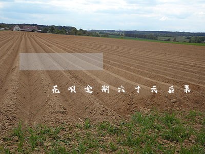 花呗逾期六十天后果 花呗逾期六十天后果