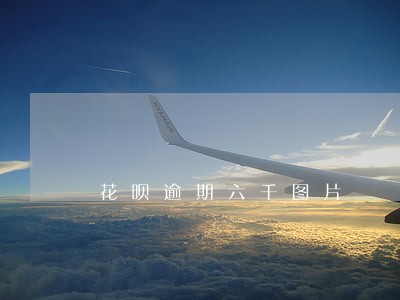 花呗逾期六千图片 花呗逾期六千图片