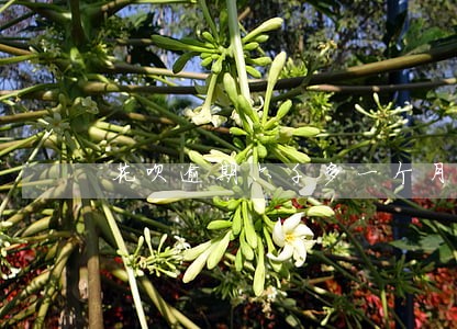 花呗逾期六千多一个月 花呗逾期六千多一个月