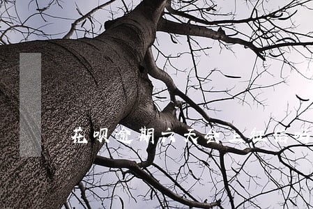 花呗逾期六天会上征信吗 花呗逾期六天会上征信吗