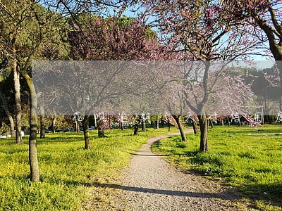 花呗逾期六天对信用度有影响吗 花呗逾期六天对信用度有影响吗