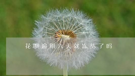 花呗逾期六天就冻结了吗 花呗逾期六天就冻结了吗