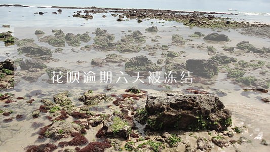 花呗逾期六天被冻结 花呗逾期六天被冻结