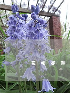 花呗逾期六百多说要报警
