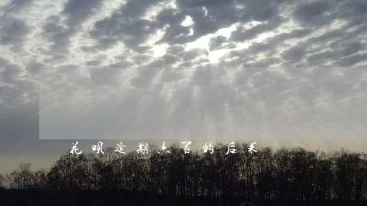 花呗逾期六百的后果 花呗逾期六百的后果